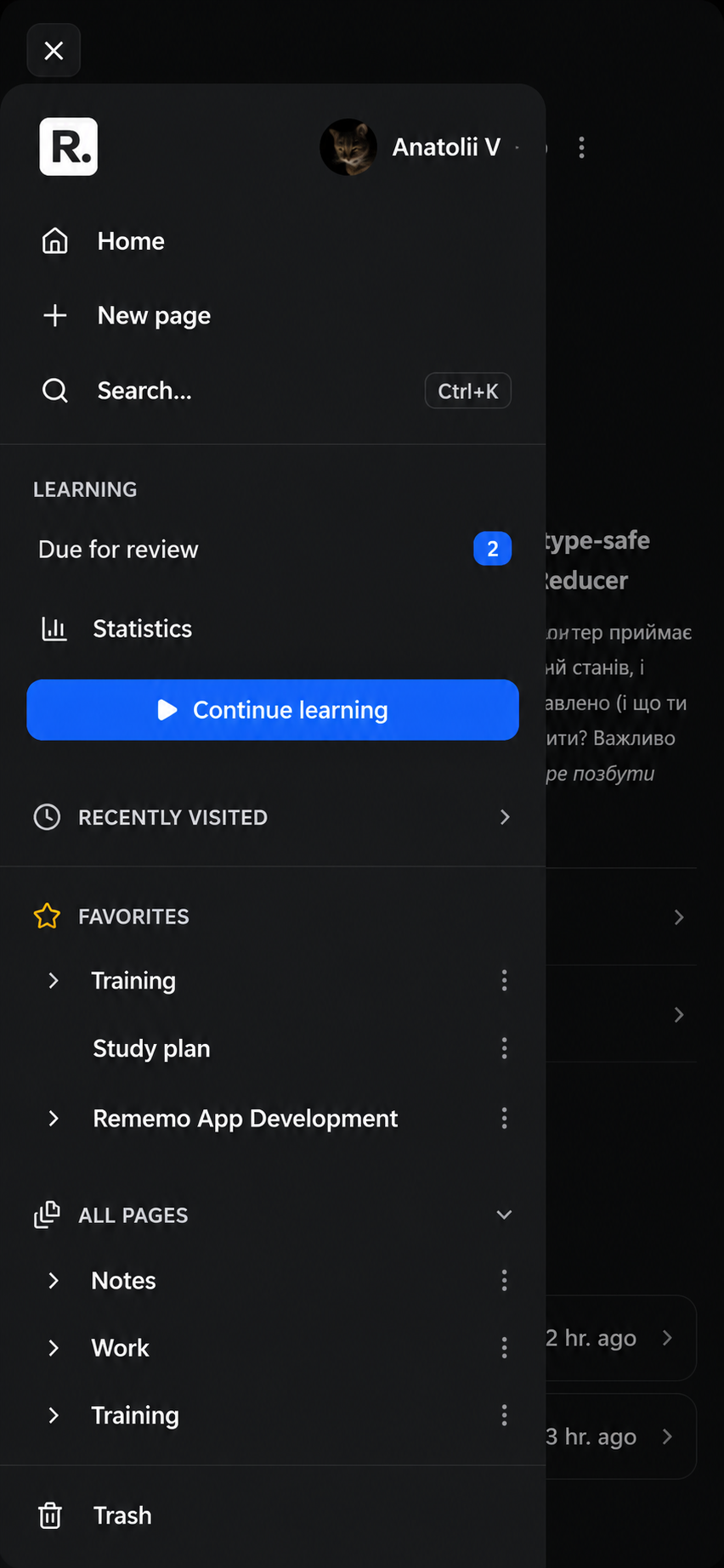Rememo pages sidebar showing organized notes and folders